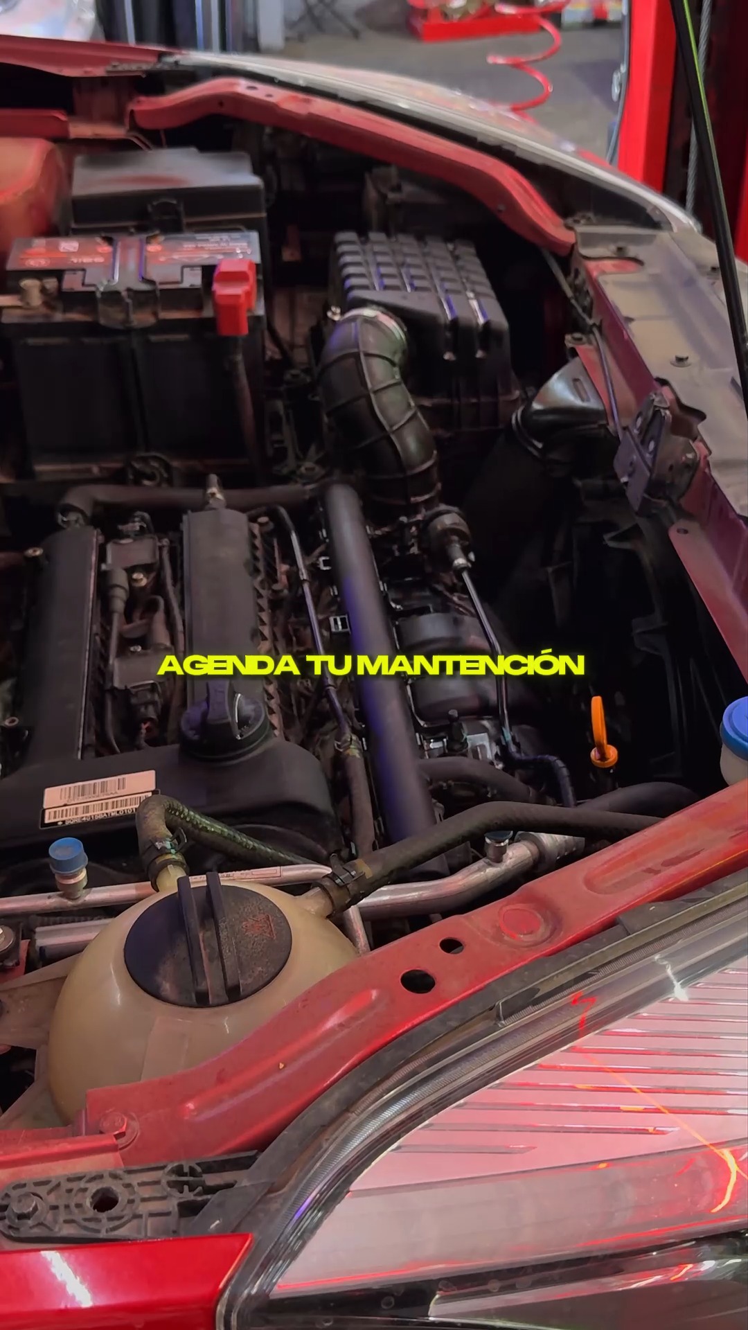 Reel Tokyo Tunning